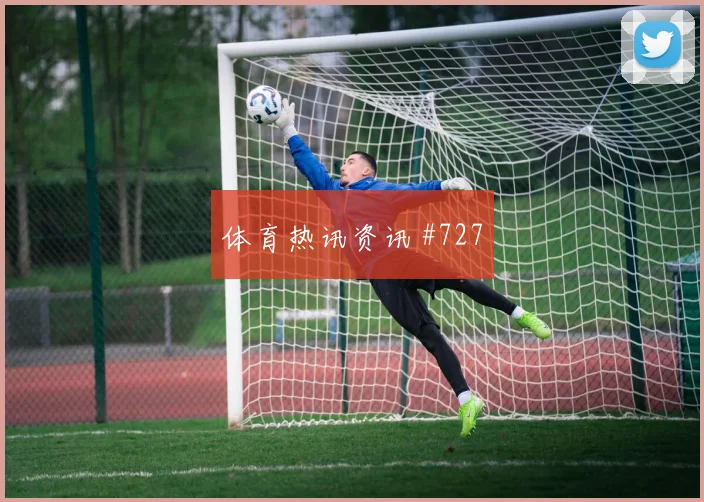 德米洛维奇2026世界杯队内作用解析