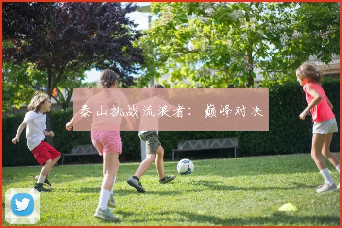 泰山挑战流浪者：巅峰对决
