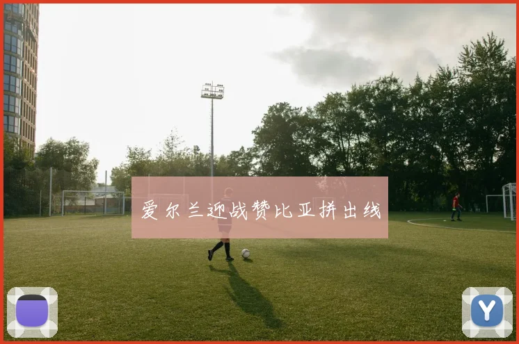 爱尔兰迎战赞比亚拼出线