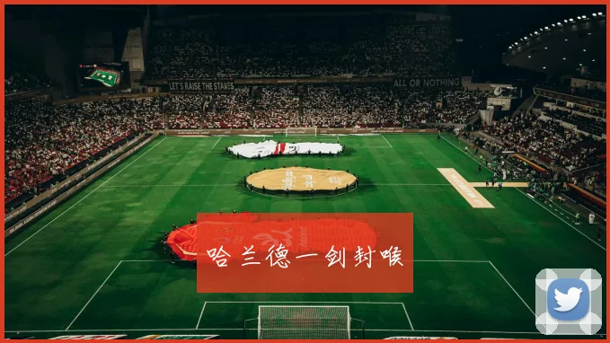 哈兰德一剑封喉