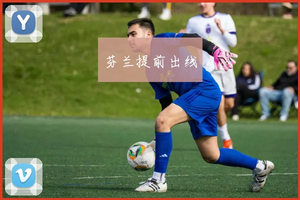 芬兰提前出线