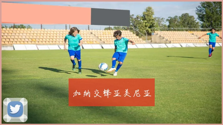 加纳交锋亚美尼亚