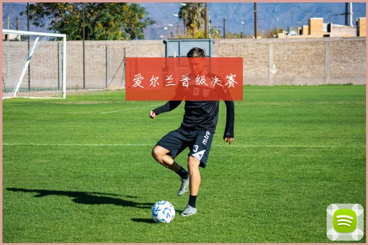 爱尔兰晋级决赛