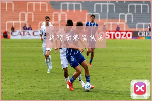 迈阿密赛场焦点
