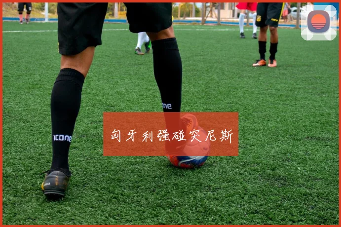 匈牙利强碰突尼斯