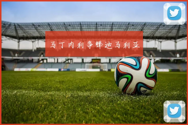 马丁内利争锋迪马利亚