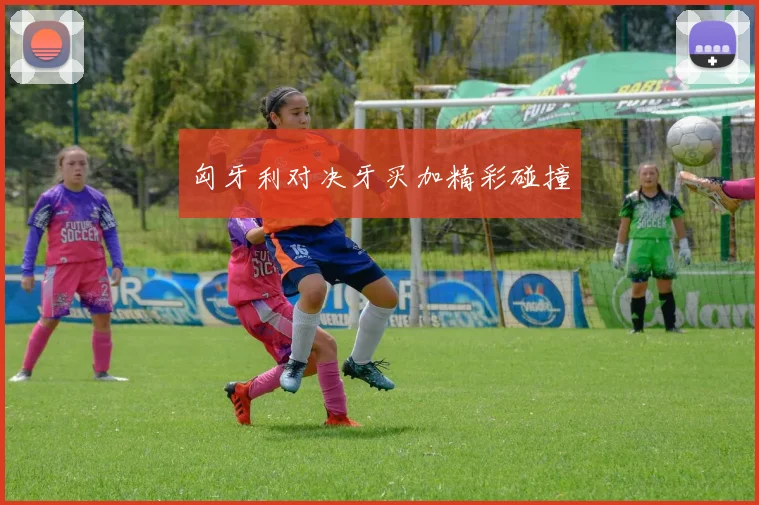 匈牙利对决牙买加精彩碰撞