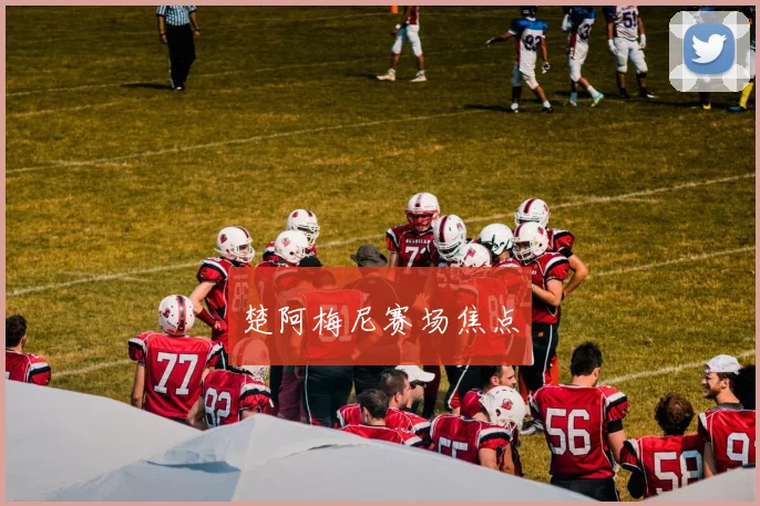 楚阿梅尼赛场焦点