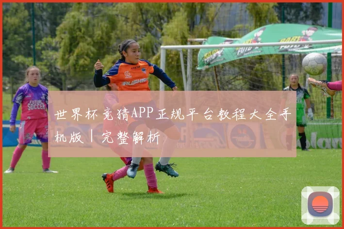 世界杯竞猜APP正规平台教程大全手机版｜完整解析