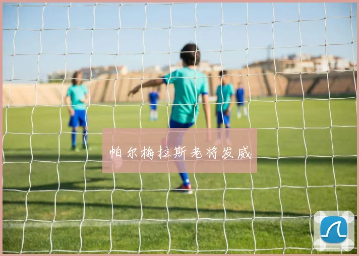 帕尔梅拉斯老将发威