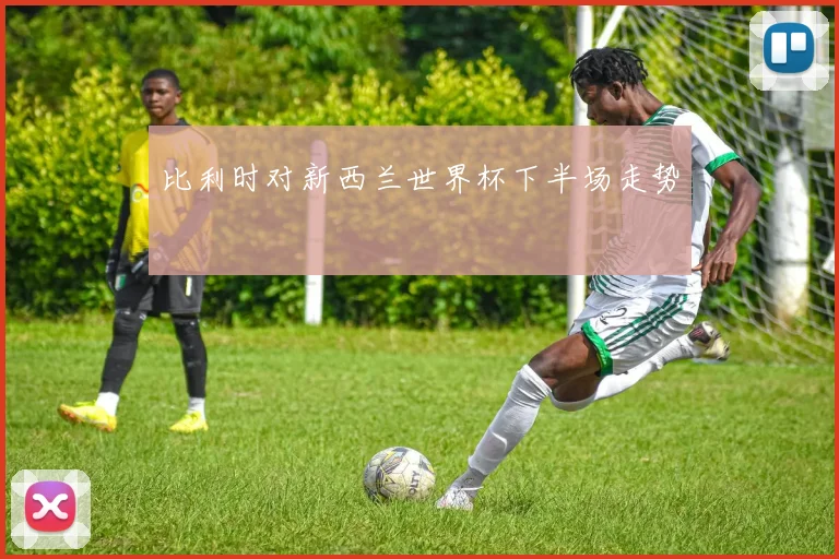 比利时对新西兰世界杯下半场走势