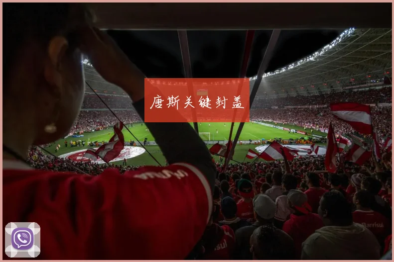 唐斯关键封盖