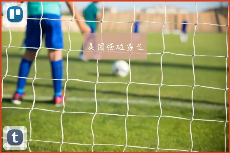 美国强碰芬兰
