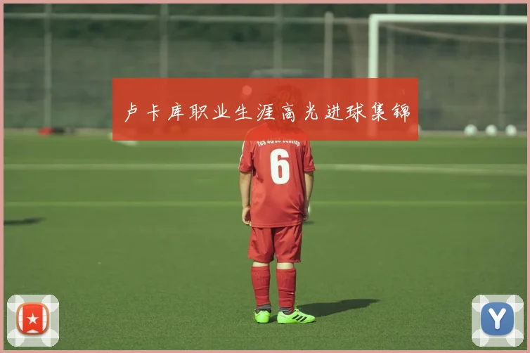 卢卡库职业生涯高光进球集锦
