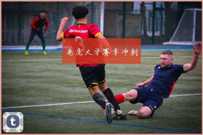 老虎大学赛季冲刺