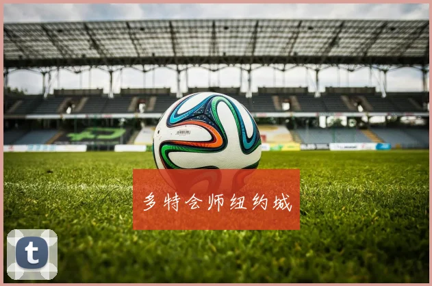 多特会师纽约城