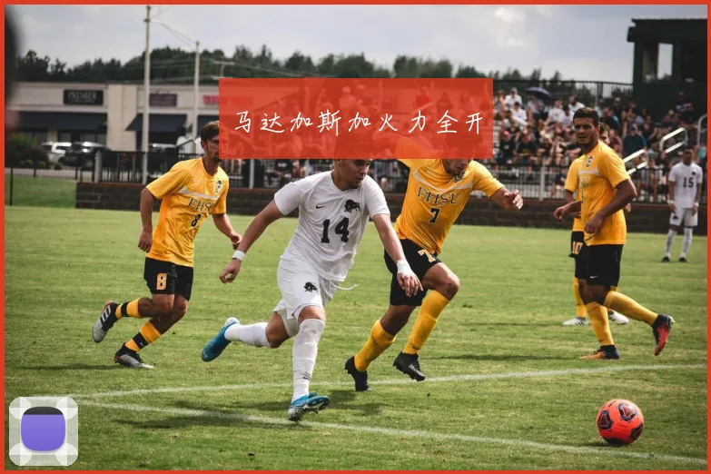 马达加斯加火力全开
