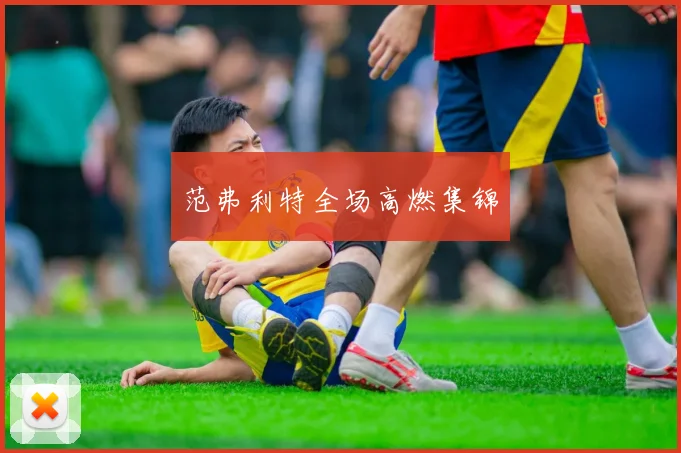 范弗利特全场高燃集锦