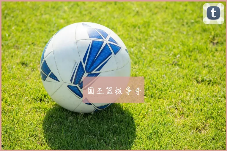 国王篮板争夺