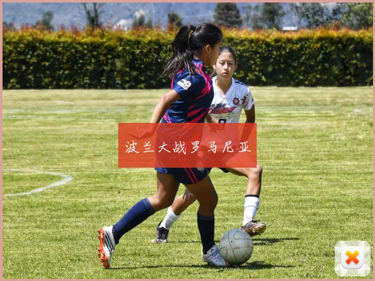 波兰大战罗马尼亚