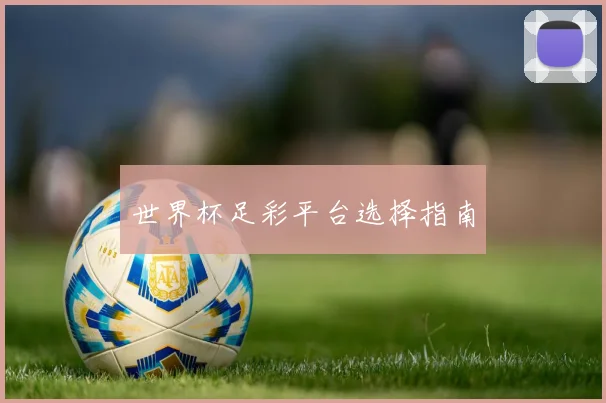世界杯足彩平台选择指南