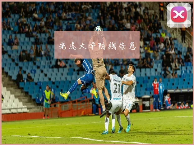 老虎大学防线告急