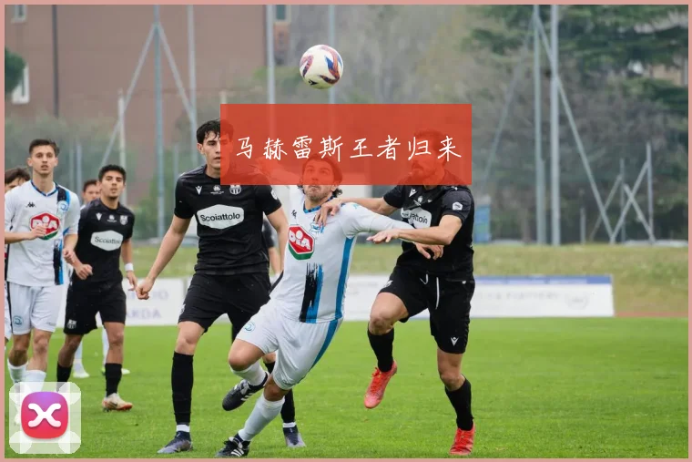 马赫雷斯王者归来