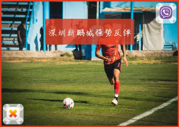 深圳新鹏城强势反弹