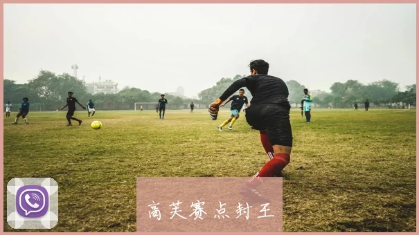 高芙赛点封王