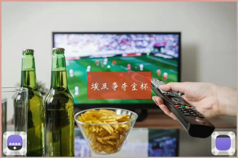 埃及争夺金杯