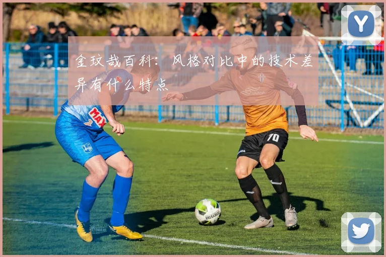 金玟哉百科:风格对比中的技术差异有什么特点