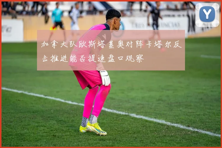 加拿大队欧斯塔基奥对阵卡塔尔反击推进能否提速盘口观察