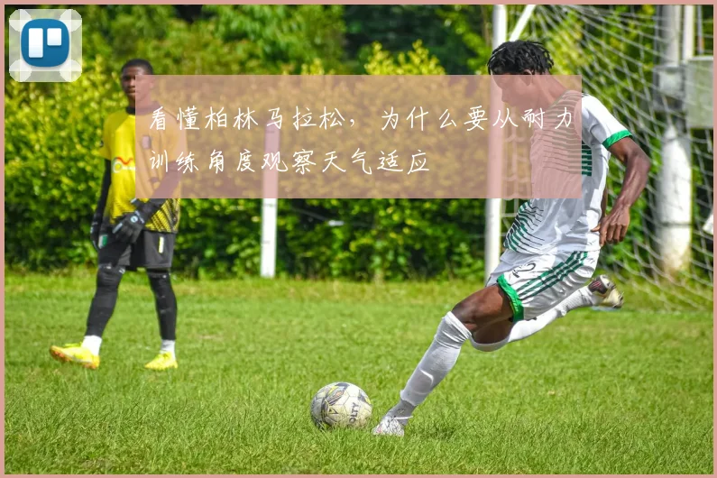 看懂柏林马拉松，为什么要从耐力训练角度观察天气适应